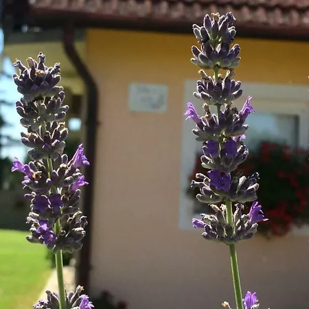 Liliana Séjour à la campagne Balatonberény