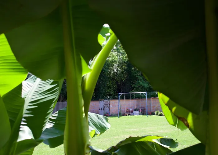 乡村民宿 Liliana Balatonberény