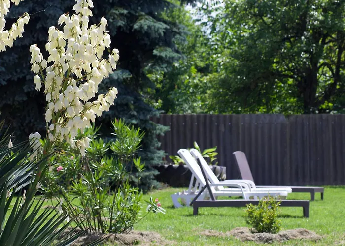 Liliana 乡村民宿 *