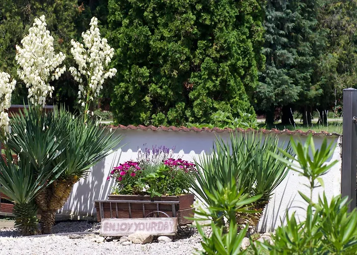 Liliana Balatonberény